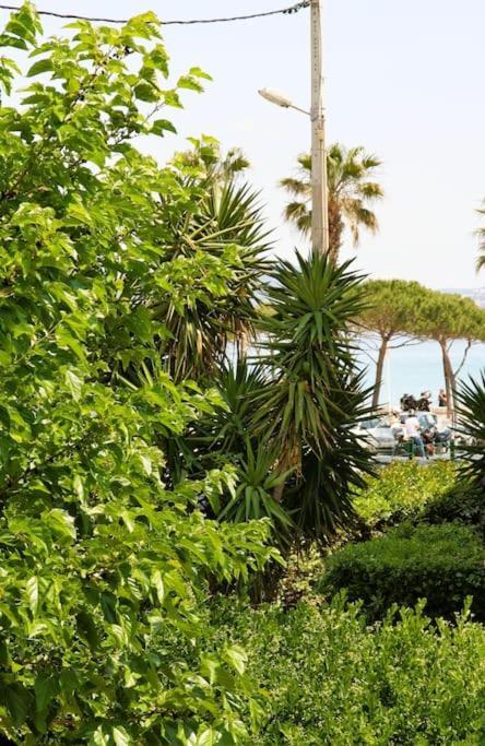Blue Summer Vibes Duplex For 4p, Ac, Sea View, Parking, At 50m, Access -3 *